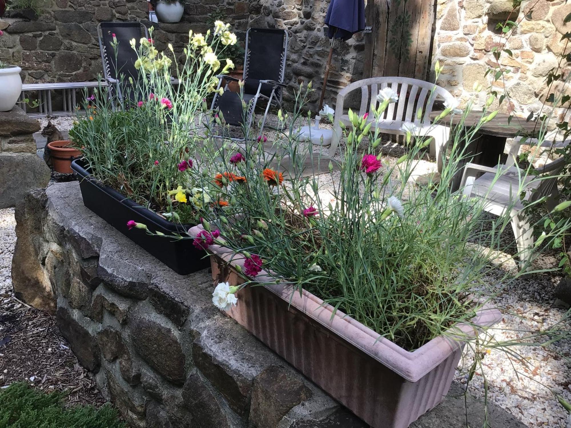 Spacious, Rustic Studio Space For 2 Persons Saint-Cyr-du-Bailleul ภายนอก รูปภาพ
